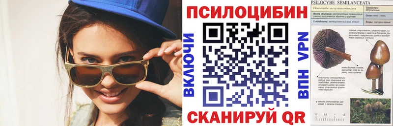Галлюциногенные грибы прущие грибы  Горнозаводск 